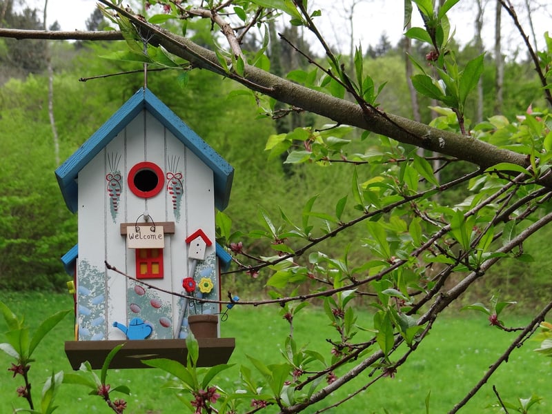 Treehouse in the woods